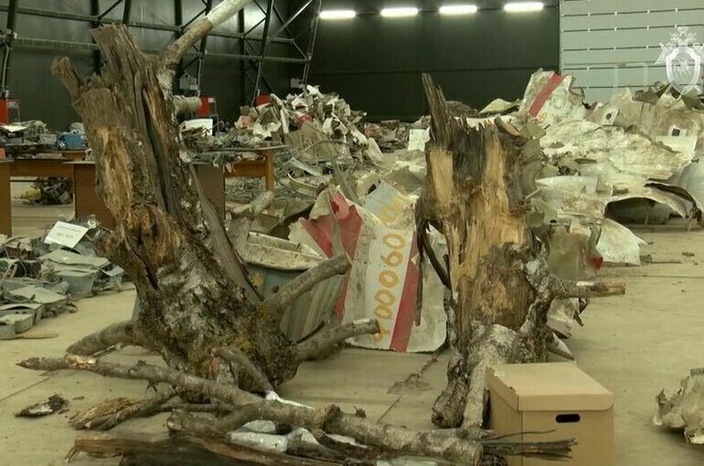   Следственный комитет РФ / РИА Новости