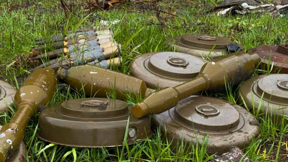 Фото: Администрация Курской области