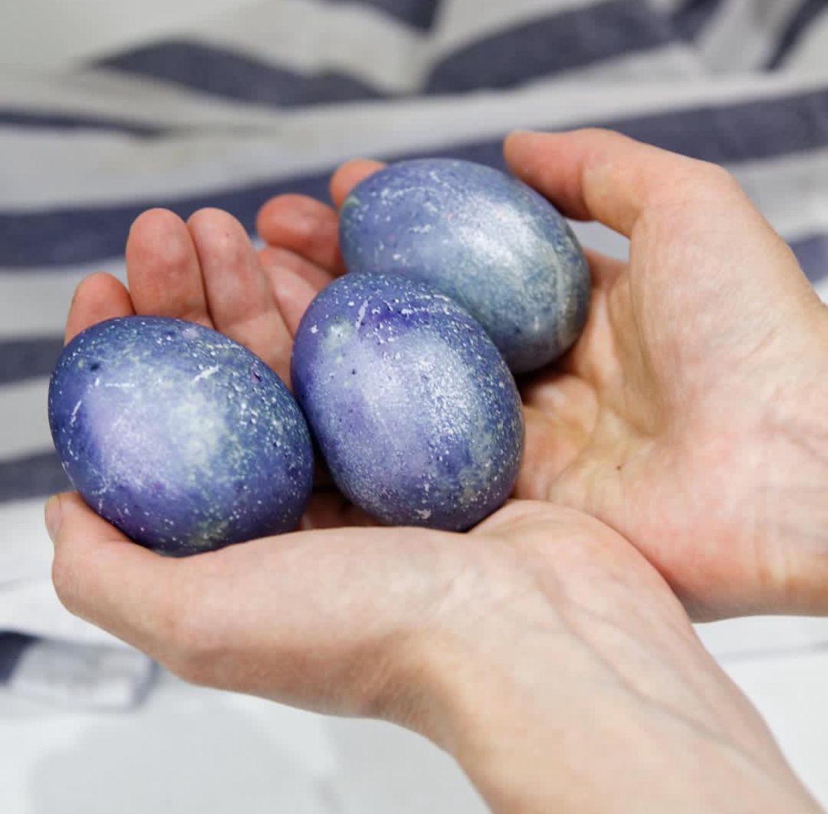 окрашивание ягодами черники