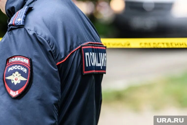 Полиция задержала дебошира. Фото: Илья Московец © URA.RU