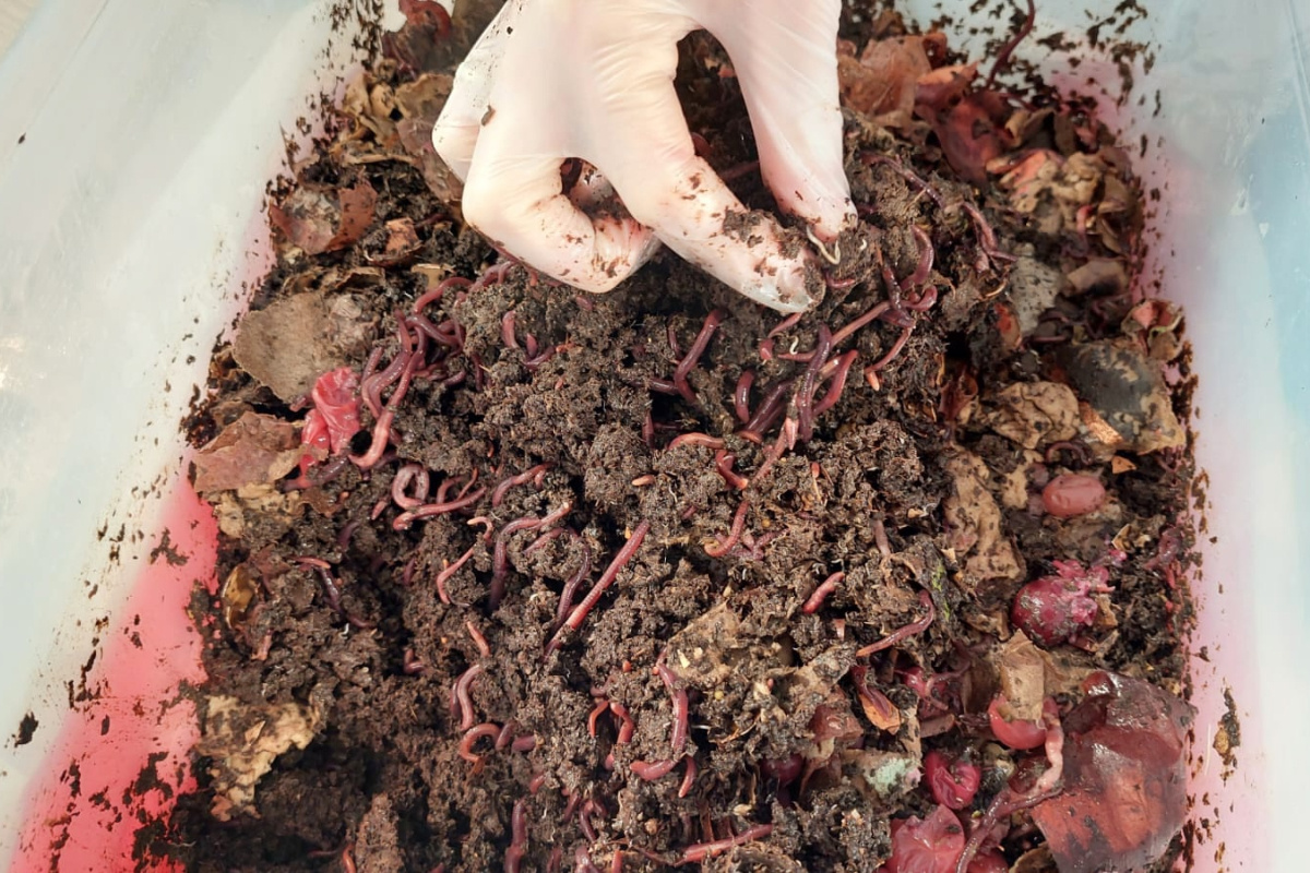    Фото: компания «Рифей»