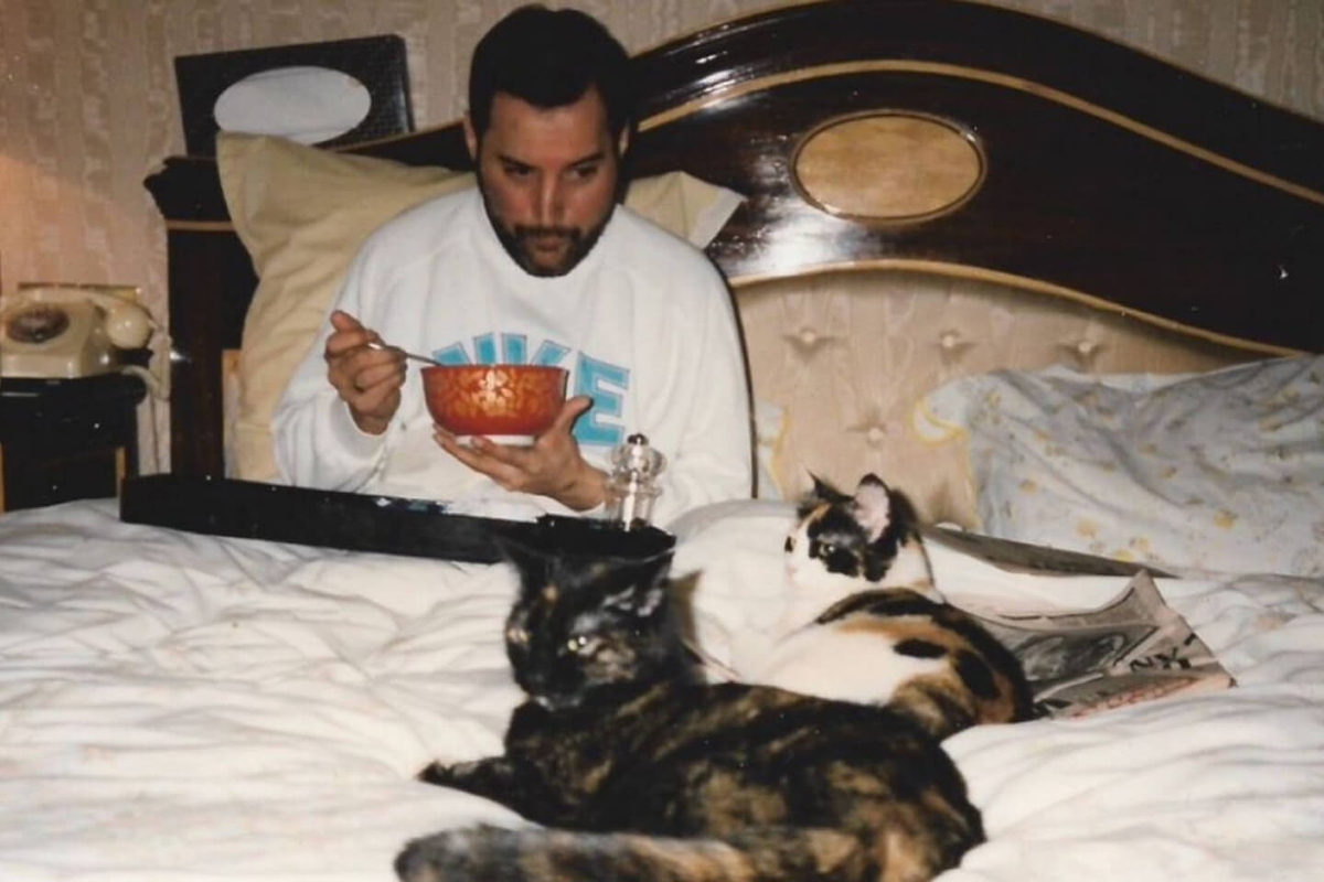 Фото: из открытых источников 