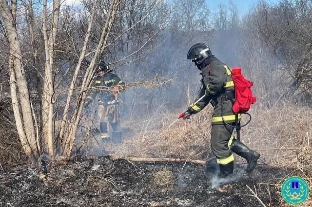    В районе Шолмова ликвидировали два возгорания сухой травы
