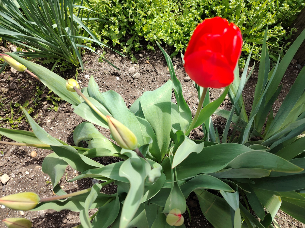 Всем здравствуй дорогие друзья, уважаемые подписчики и гости нашего канала ! 