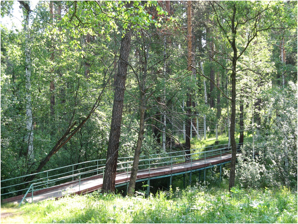 Мостик на стадион пионерского лагеря. Фото автора.