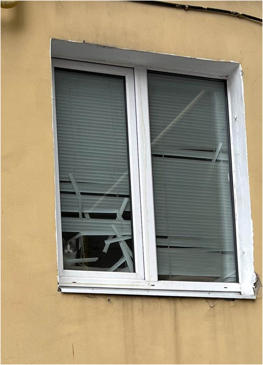 Фото Бобровкиной-Морковкиной.