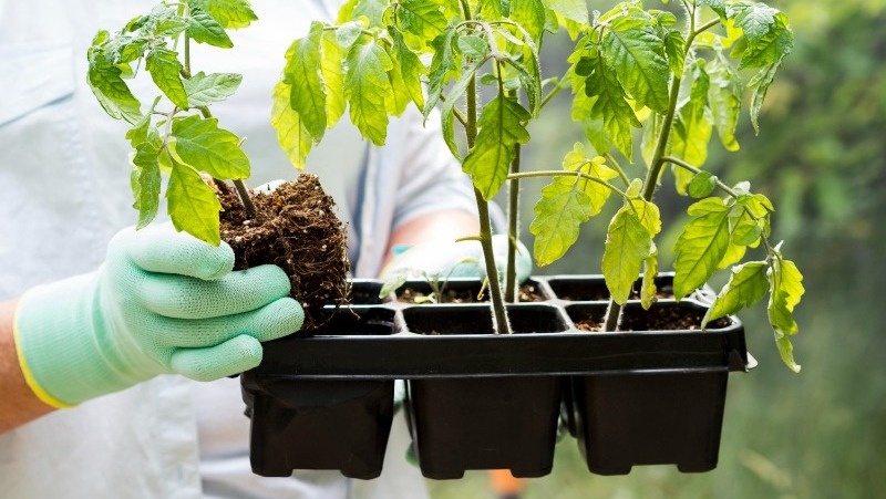 Фото: @freepik / freepik.com