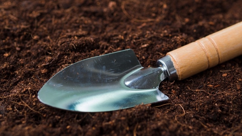 Фото: @freepik / freepik.com
