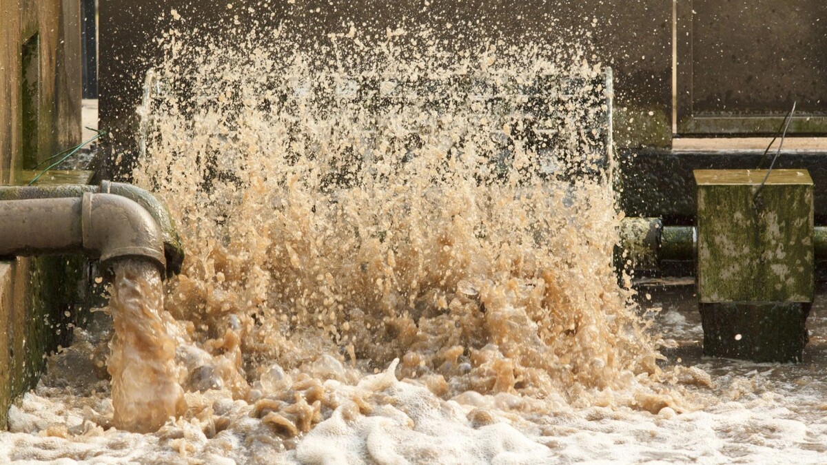    Фото: Toa55/Shutterstock/Fotodom