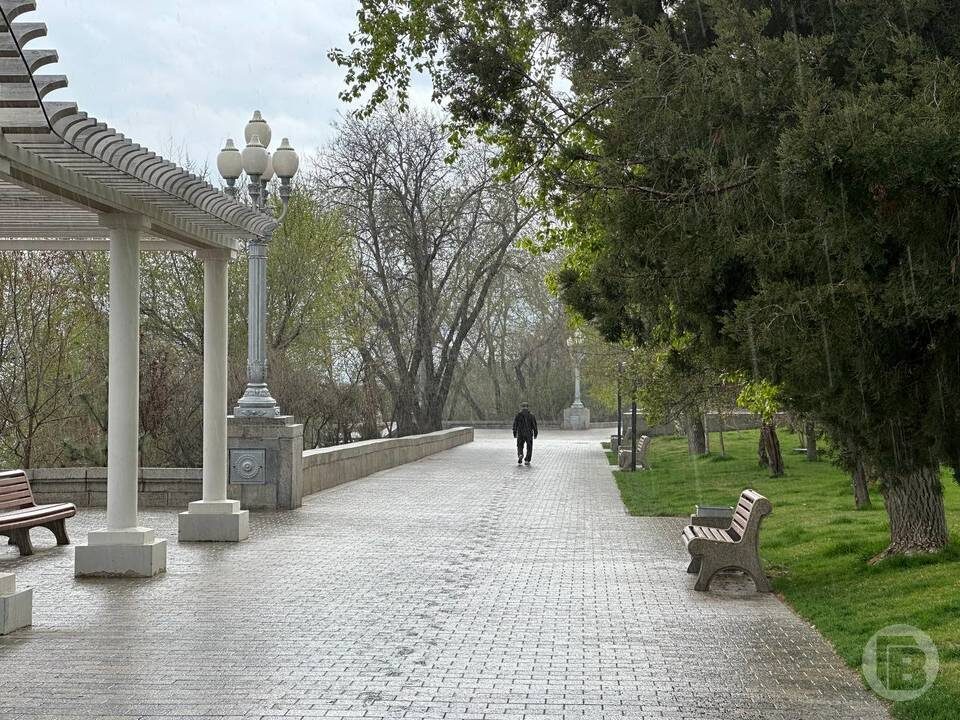    Фото: Данил Савченко/"Городские вести"