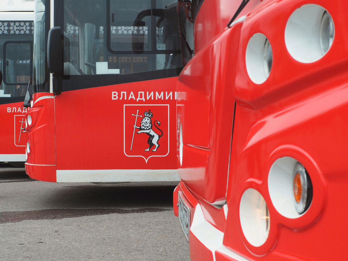 Фото Владимира Чучадеева.