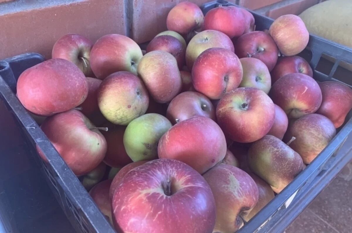    В Крыму количество садов увеличилось в два раза за десять лет