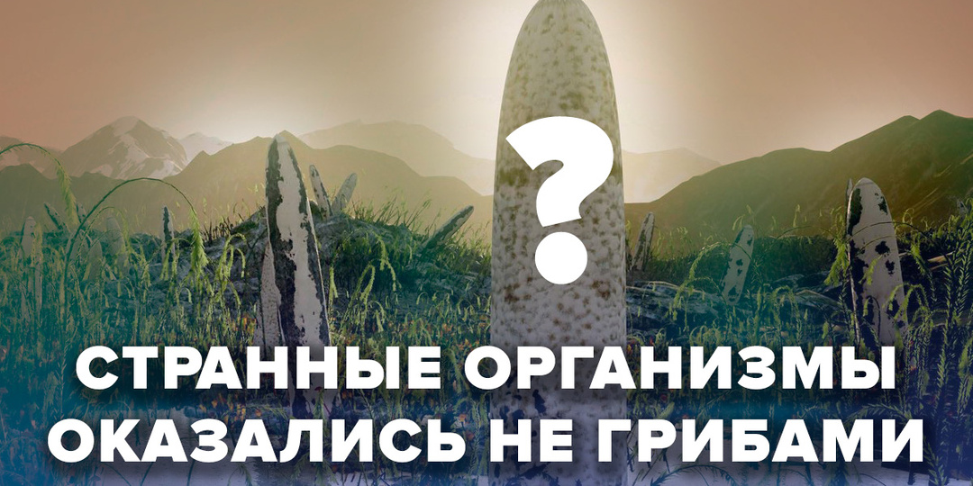 Открыт новый тип жизни на Земле