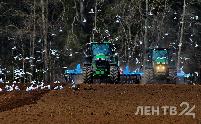    © Анастасия Илюшина / ЛенТВ24