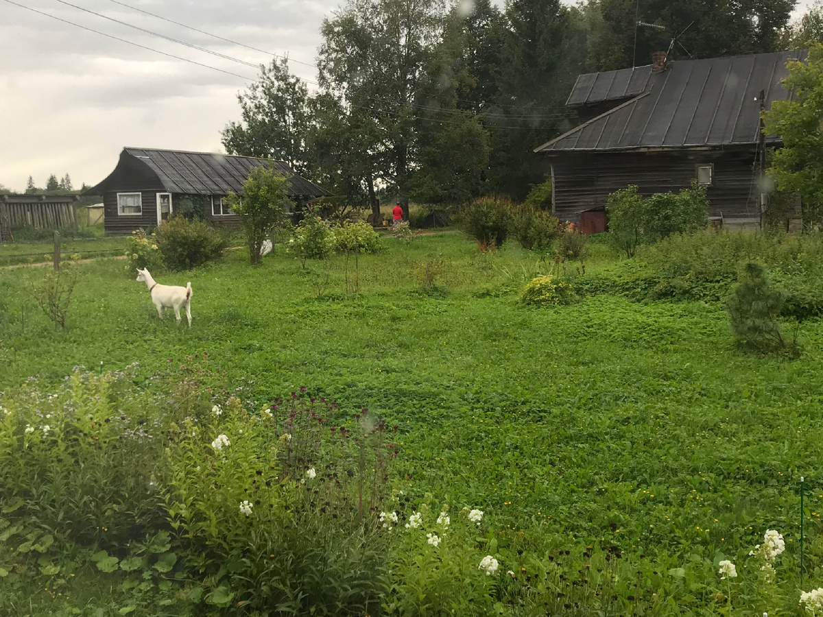 Фото автора