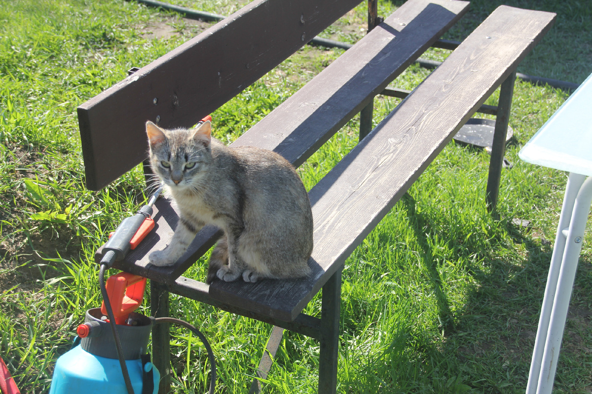 А что мы привезем в этот раз?!