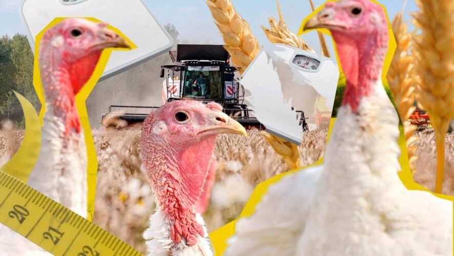    Фото: Enter Казань