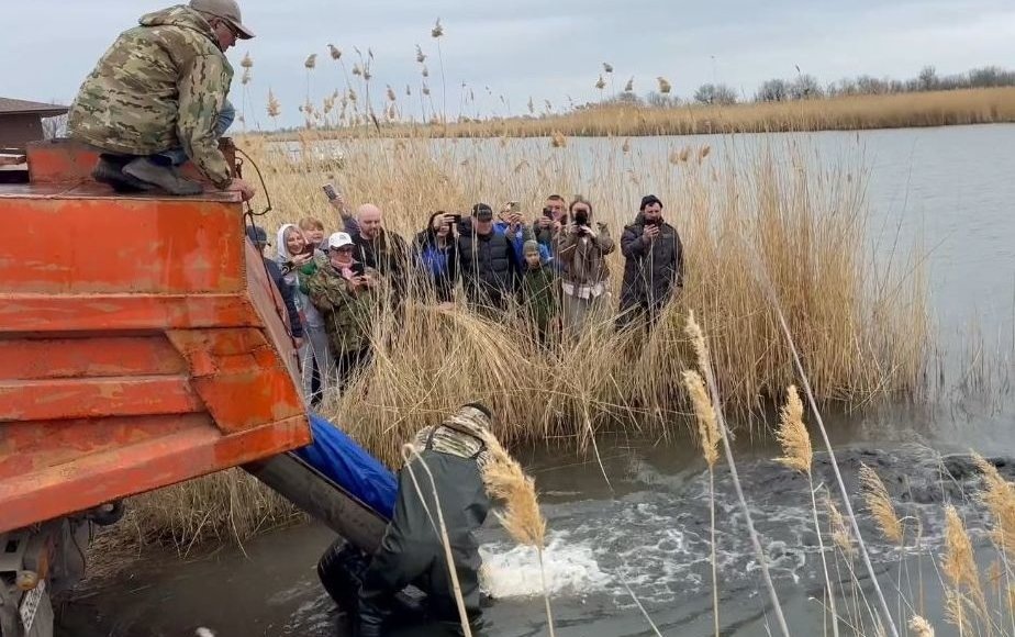    Фото: Правительство Ростовской области