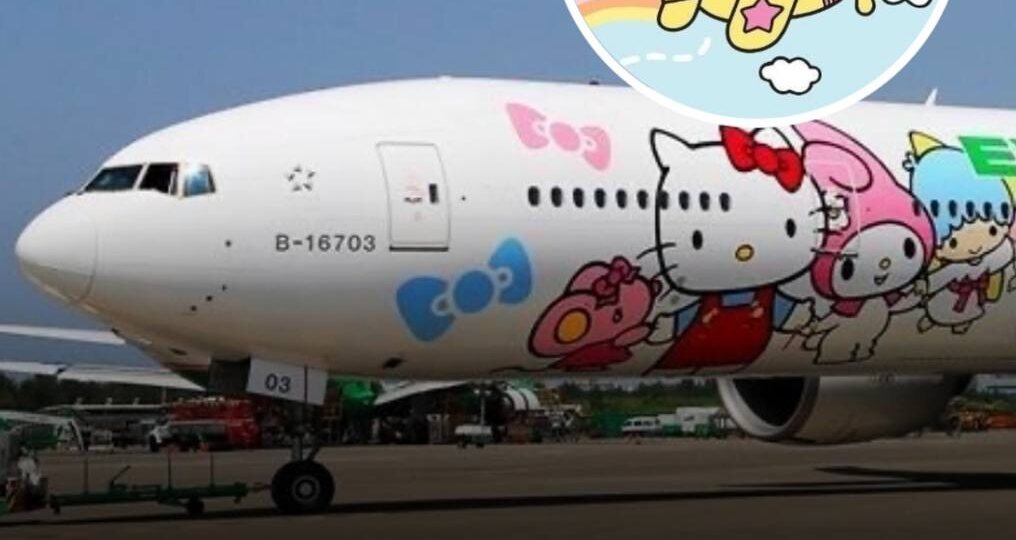 Хочу в Японию на таком самолете