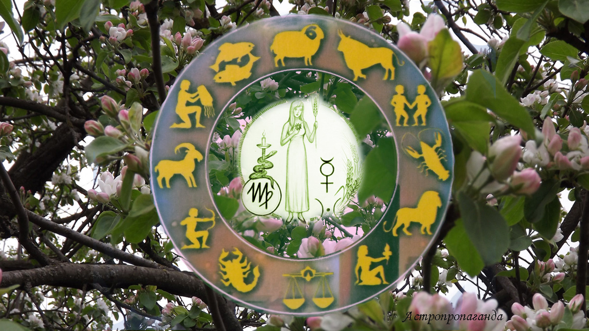 Гороскоп для Девы на апрель 2025. 