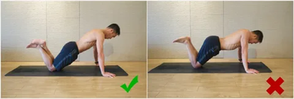 Отжимания от пола сколько   immunocap.ru