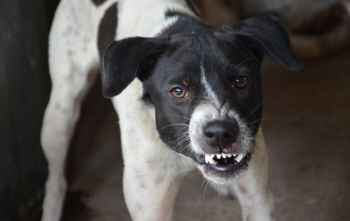 Источник фото: фото из открытых источников - для иллюстрации