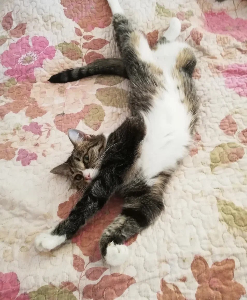 Когда не надо платить налоги