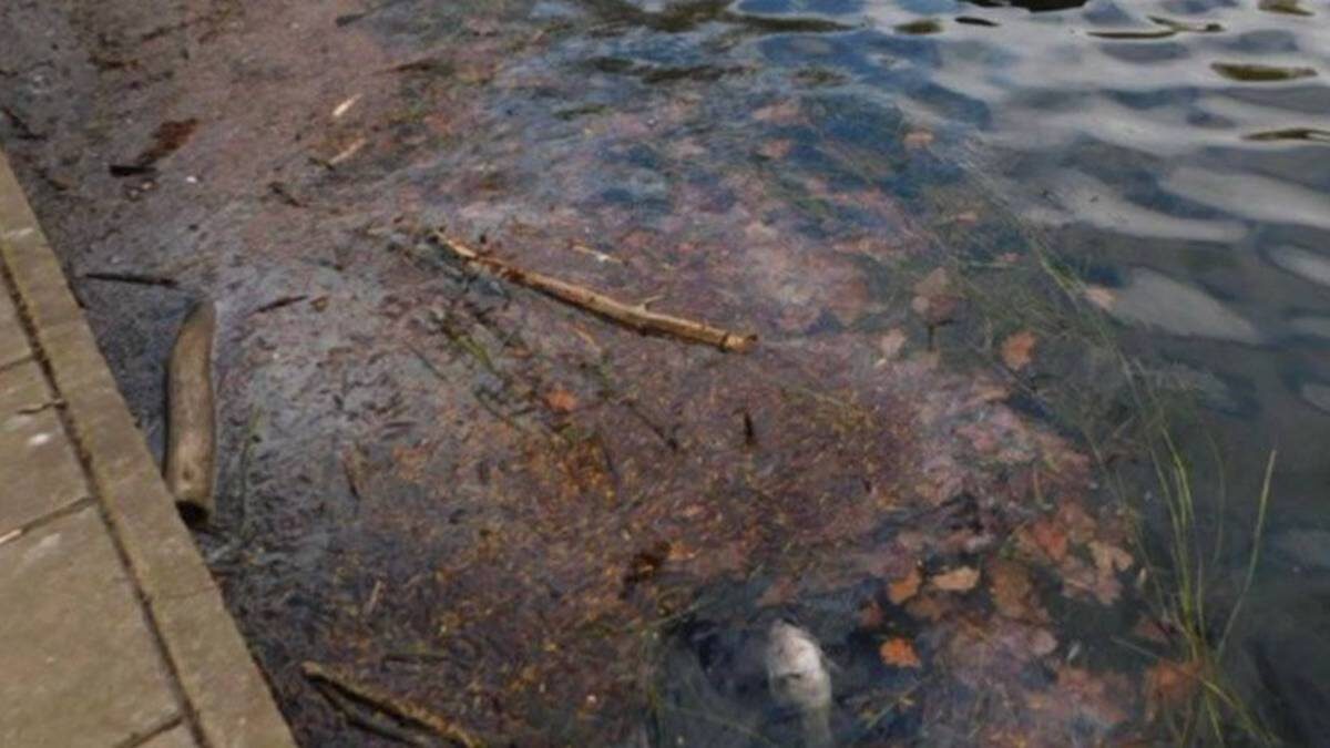    Фото: Прокуратура Москвы