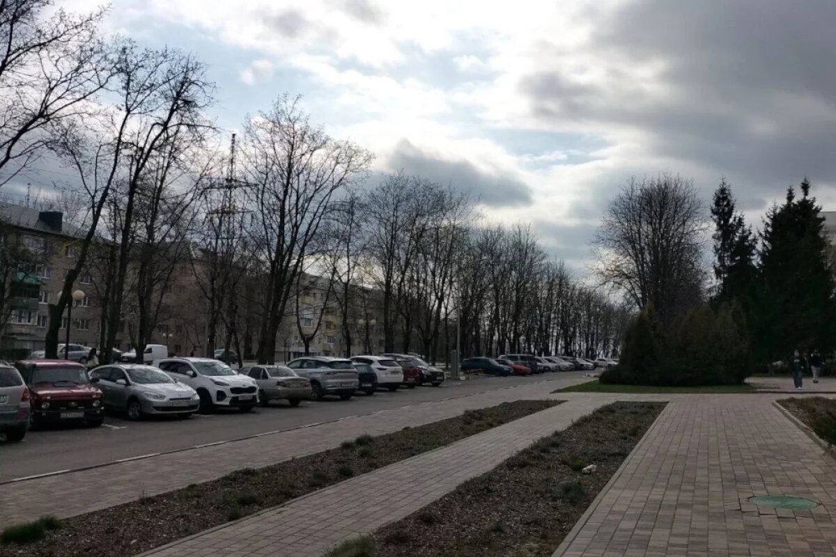    В пятницу 11 апреля в Белгородской области ожидаются заморозки