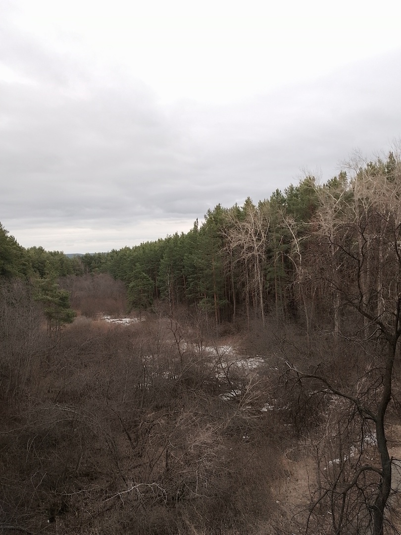 Из окон бабули открывается такой вид на парк