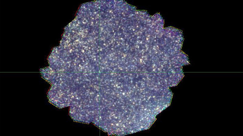    Источник изображения: Chris Pearson