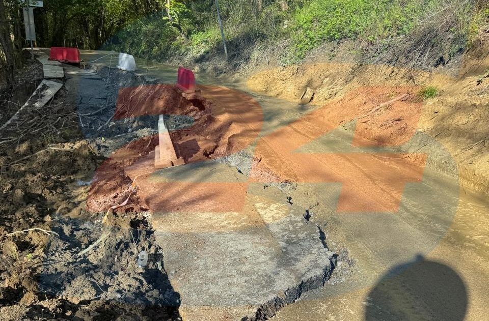 фото: Сочи24  📷
