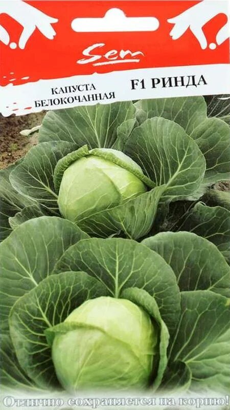 Такую посажу