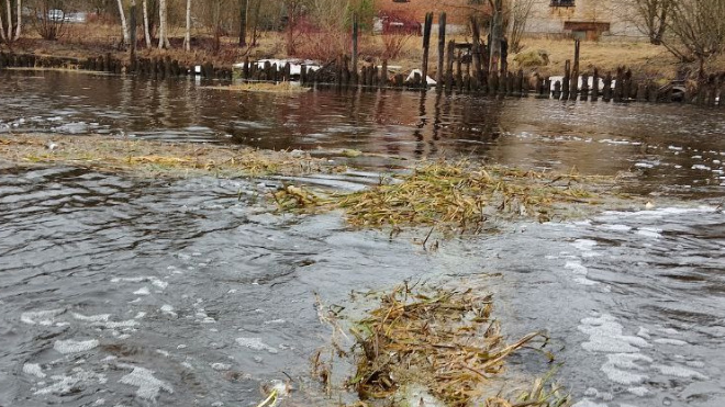 Фото: Паблик VK/АНО Водолазная группа «ДобротворецЪ»