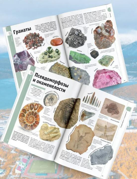 Страницы книги