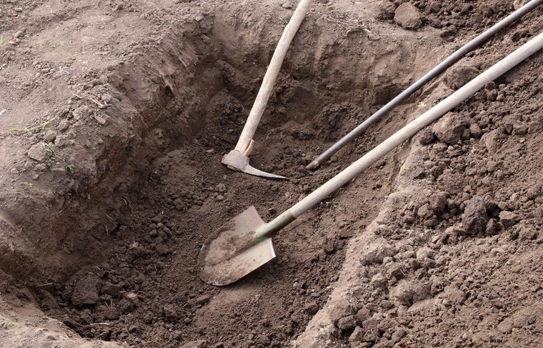    Shutterstock/FOTODOM