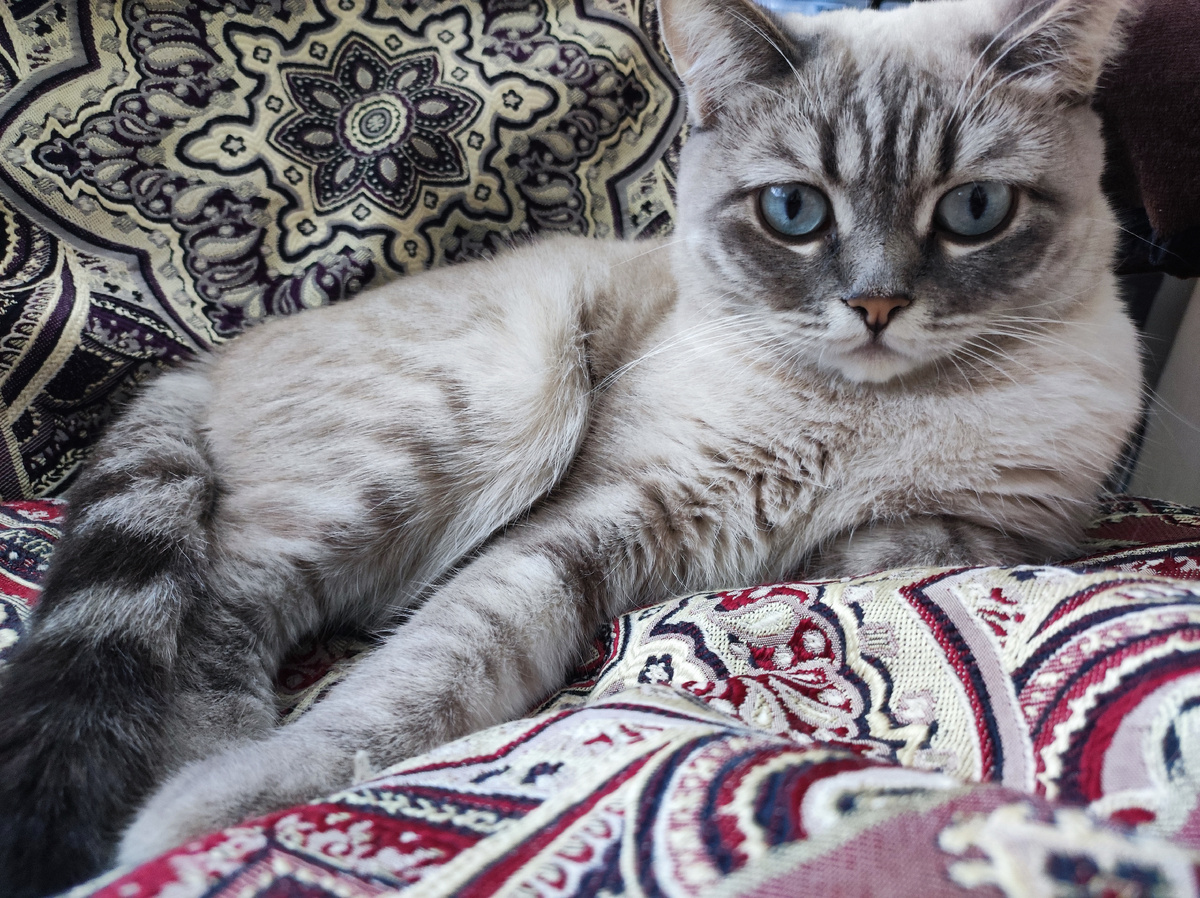 Соня отдыхает 