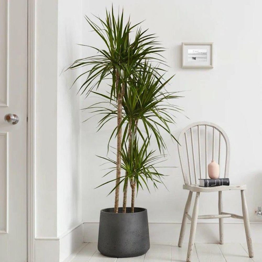 Рис.4 Рисунок взят из открытого источника "Яндекс.Картинки"