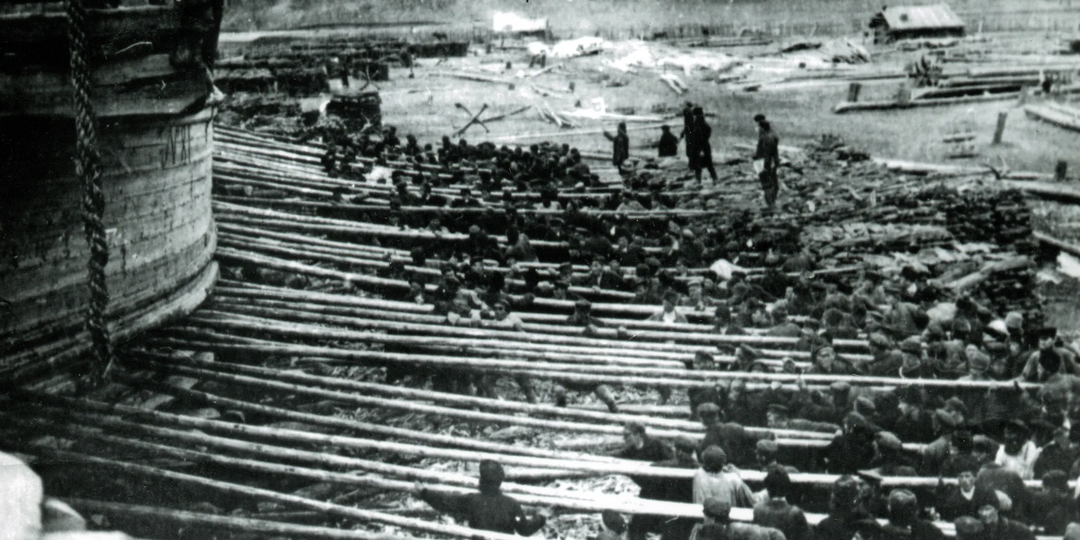 Как в глухой уральской тайге оказалось 2000 (Две тысячи) необычных верблюдов огромного роста, и что они там делали