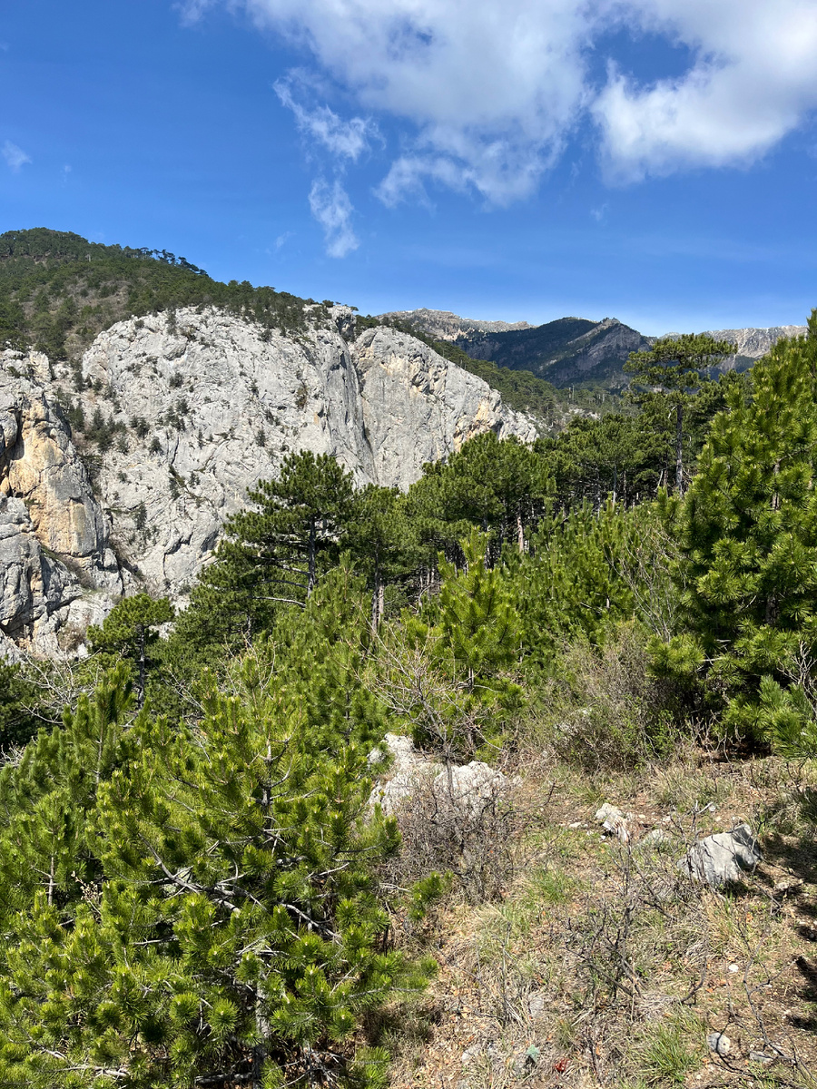 Ущелье Уч-Кош, Ялта, Крым 