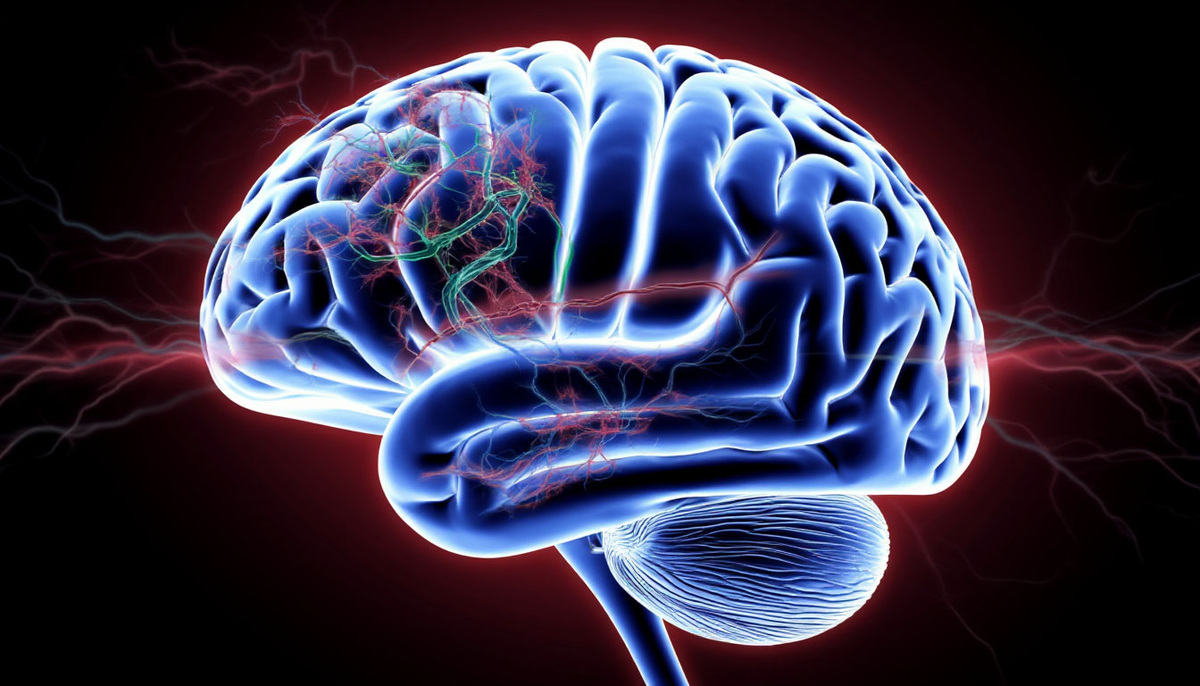 Дофамин — ключ к пониманию зависимости