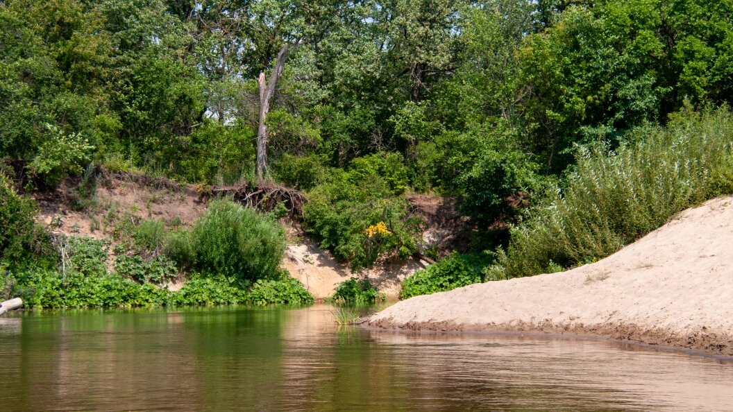    фото: Svetlana Vozmilova/Global Look Press