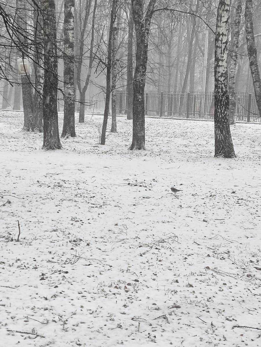 Фото Ольги Сухановой