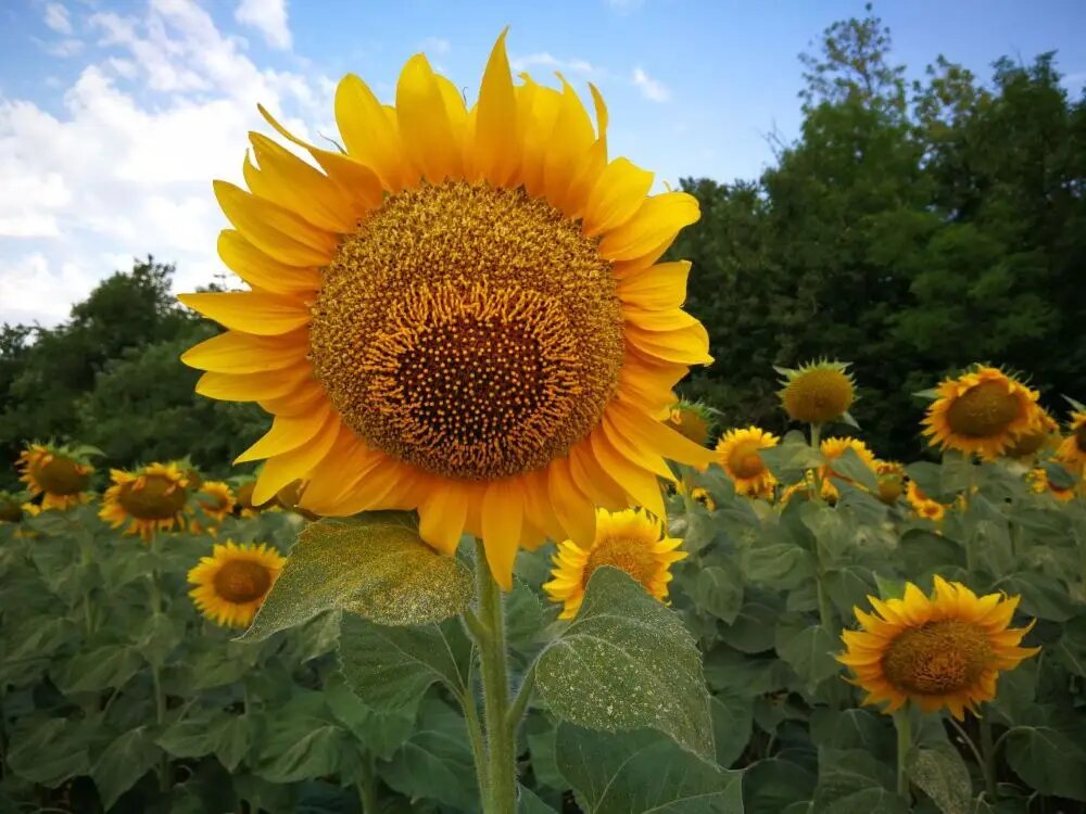     © "Интерфакс". Федор Ларин