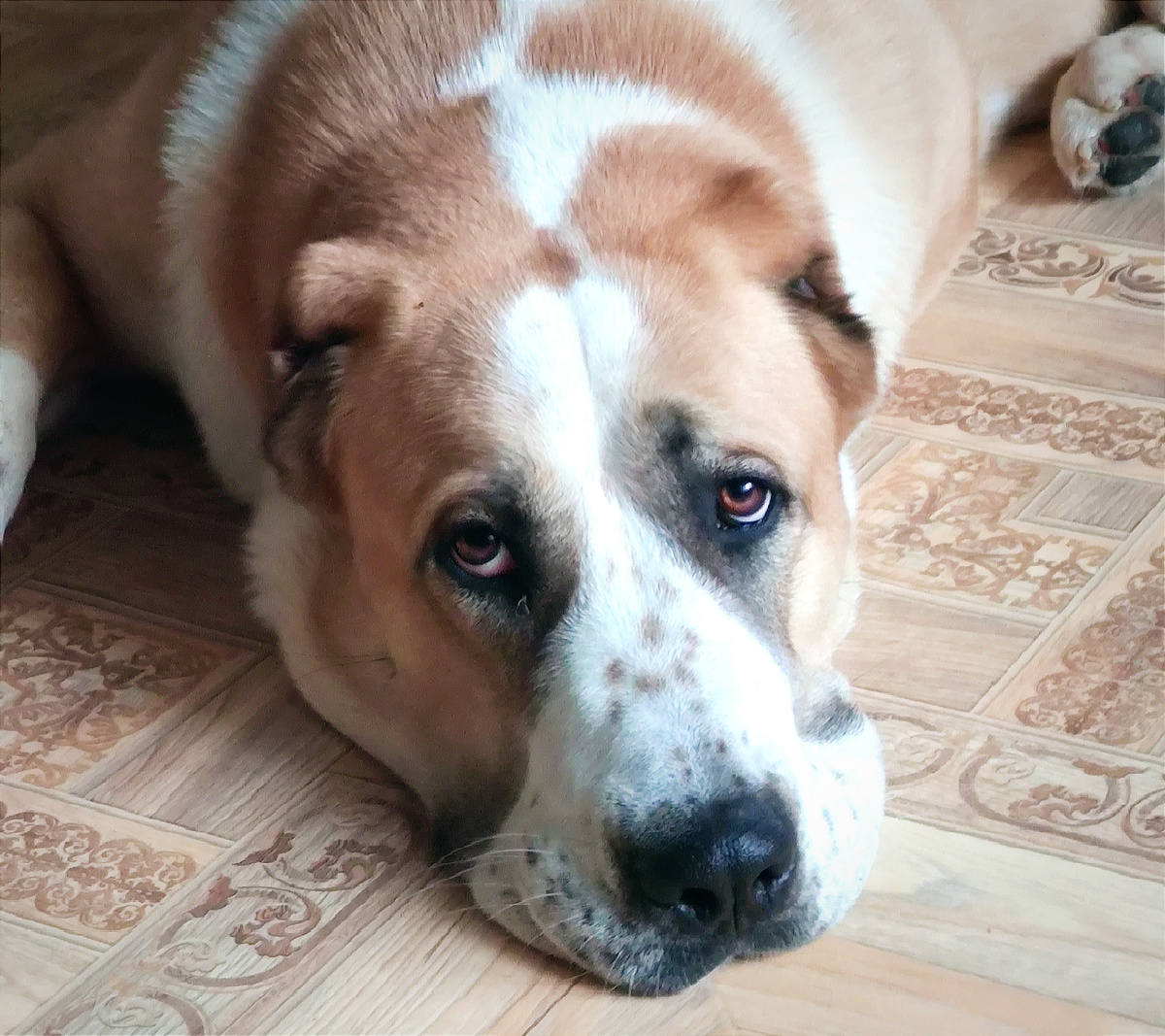 Гера сегодня.