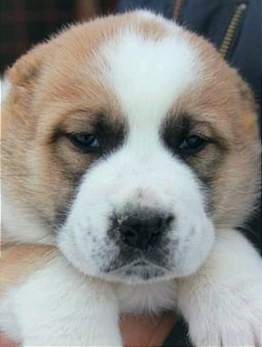 Гера в детстве.