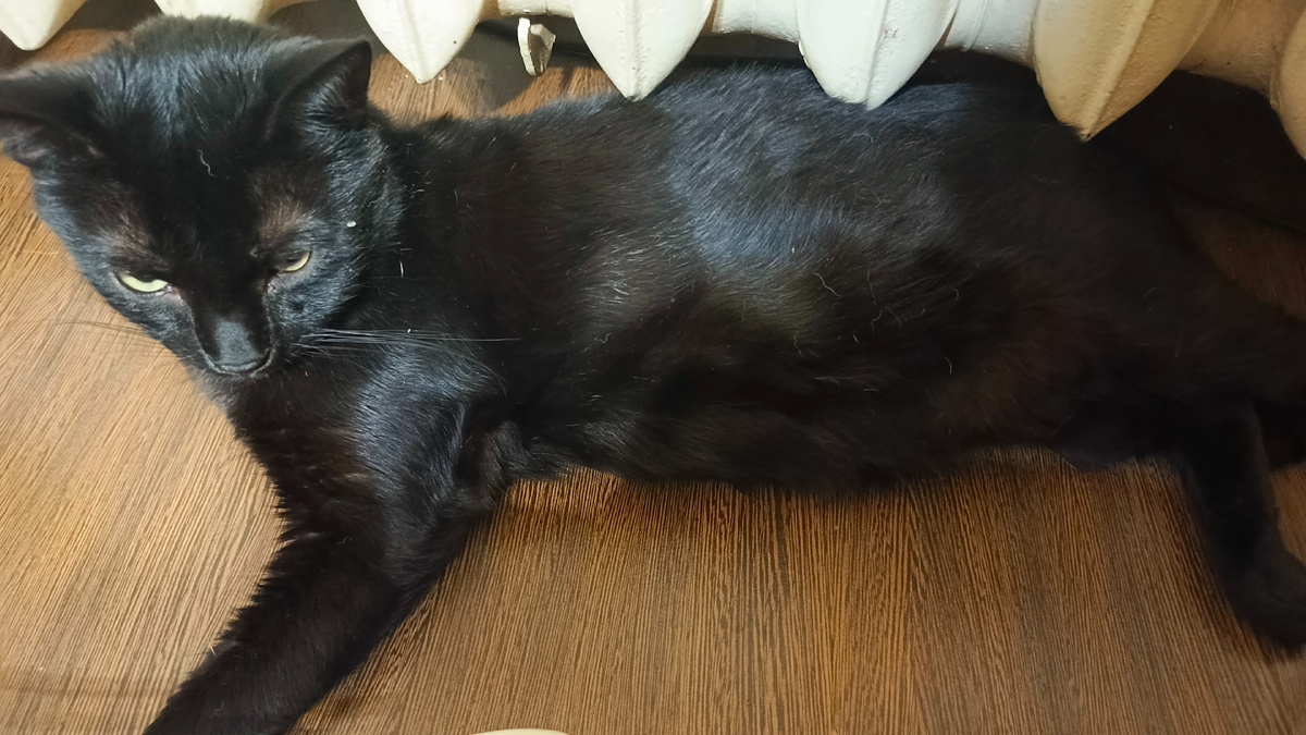 Хорошо батареи ещё не отключили