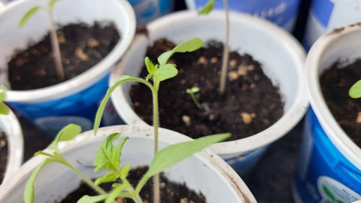     Источник: 56orb.ru