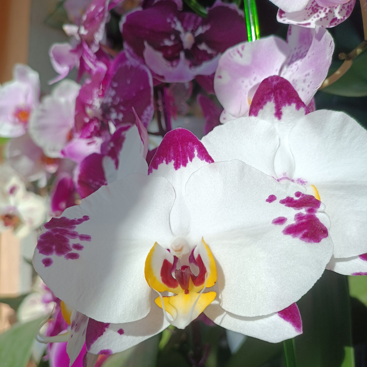 Обложка статьи. Архивное фото