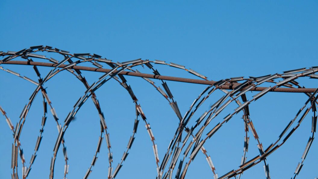    фото: Svetlana Vozmilova/Global Look Press